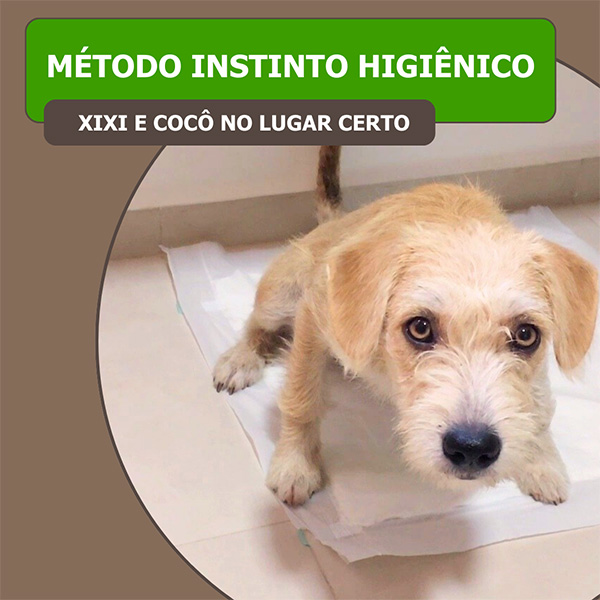 Livre-se do Cocô e Xixi pela Casa!