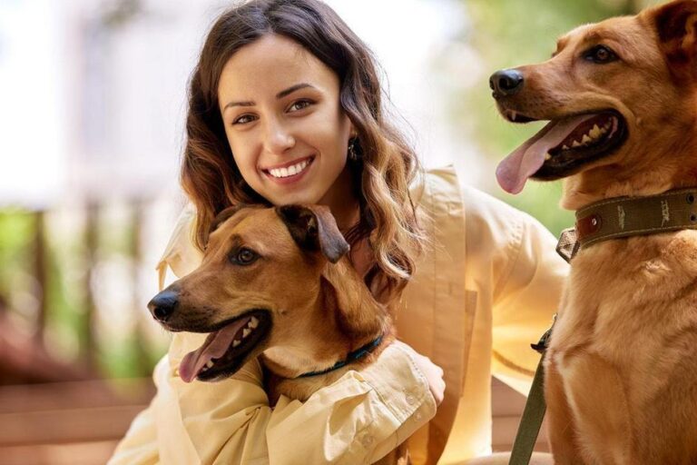 adestrador de cães