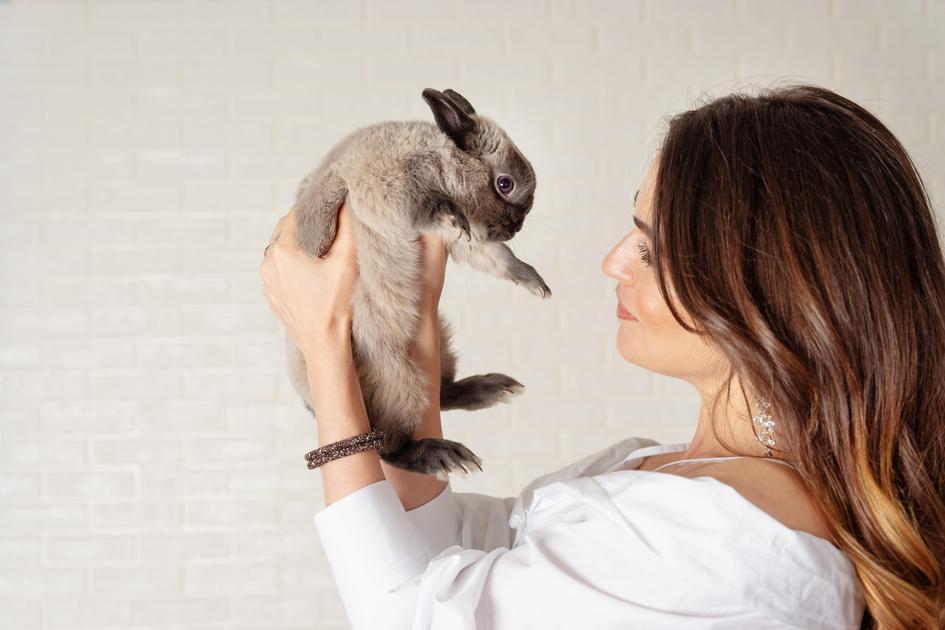 Alimentos Proibidos e Perigosos para Coelhos Alimentos Proibidos e Perigosos para Coelhos