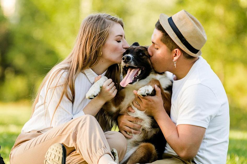 Benefícios de Ter um Cachorro Silencioso para a Família