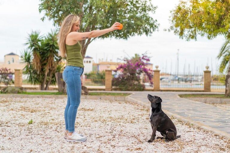 cachorro com tremedeira