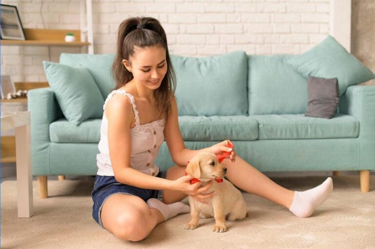 cachorro comendo fezes