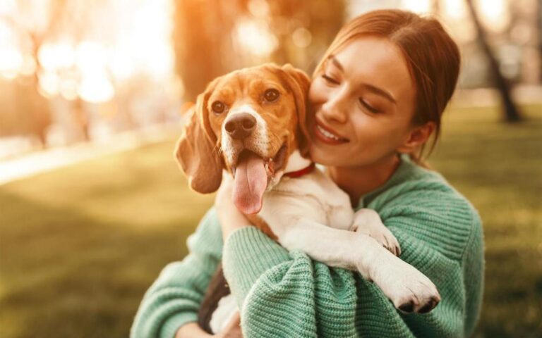 cachorros para adotar