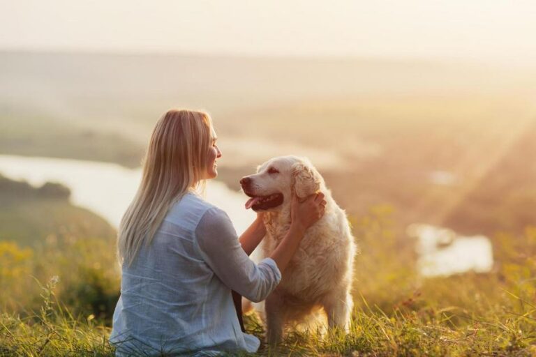 como adestrar cachorro filhote para fazer necessidades no lugar certo