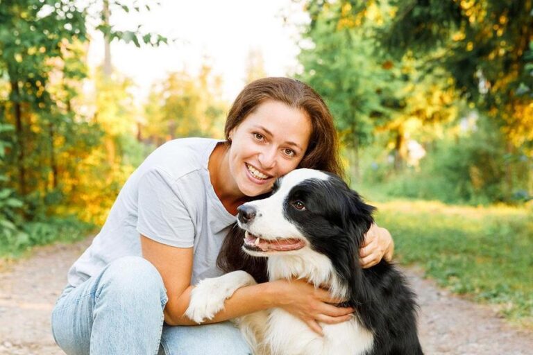 como adestrar meu cachorro
