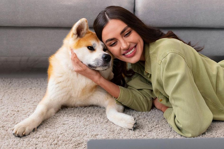 Como as redes sociais podem ajudar a encontrar seu cachorro perdido