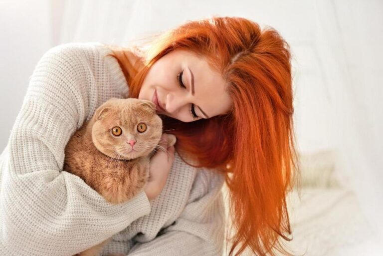 como cuidar filhote de gato