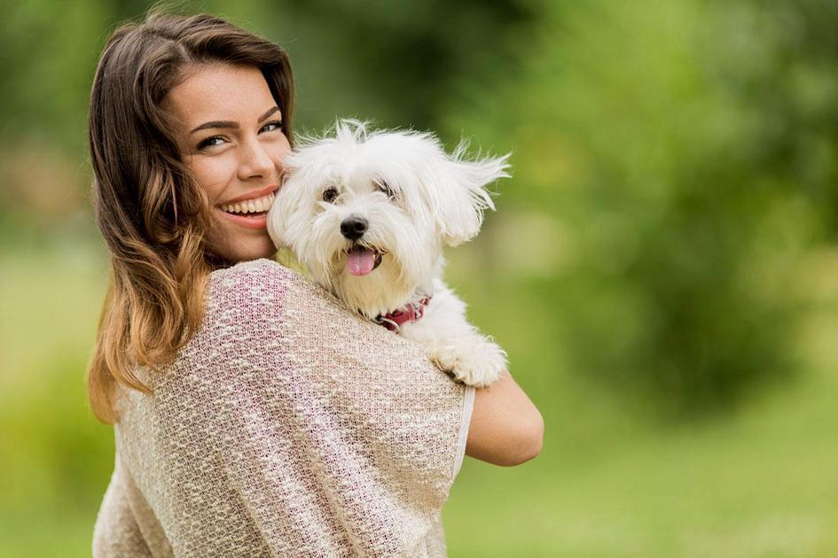 Como escolher o nome perfeito para seu cachorrinho Como escolher o nome perfeito para seu cachorrinho