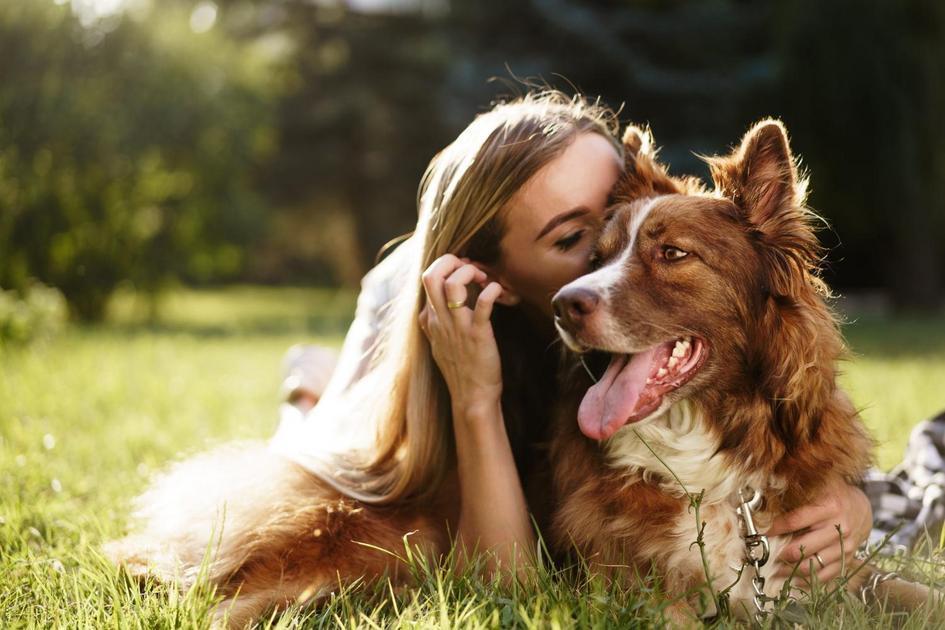 como fazer cão parar de latir