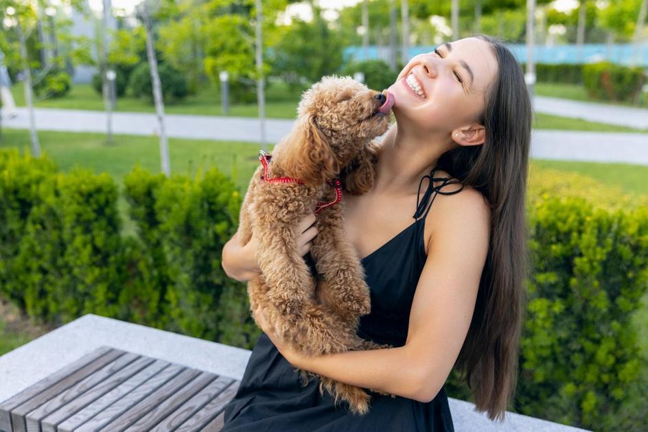 Como Proteger sua Família da Transmissão de Micose de Animais de Estimação