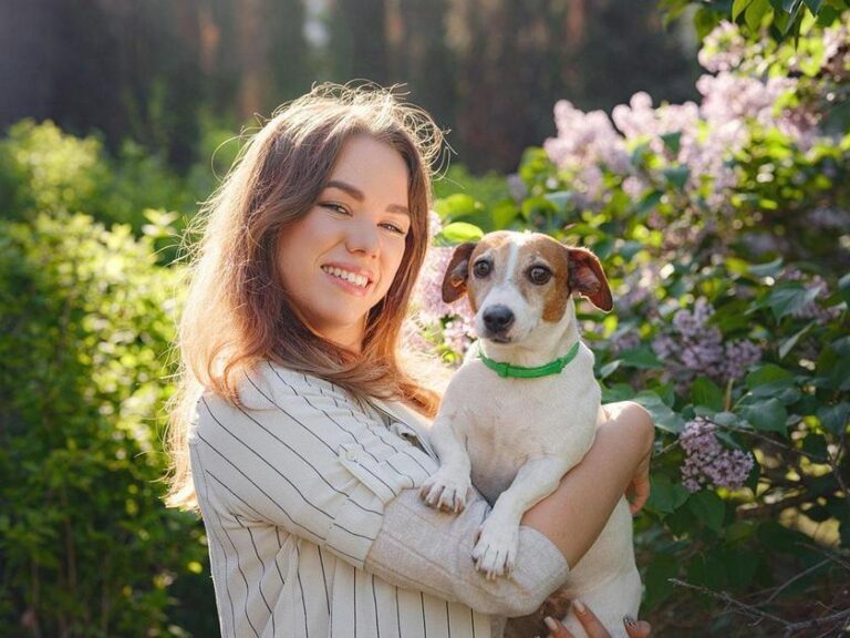 cuidados com cão filhote