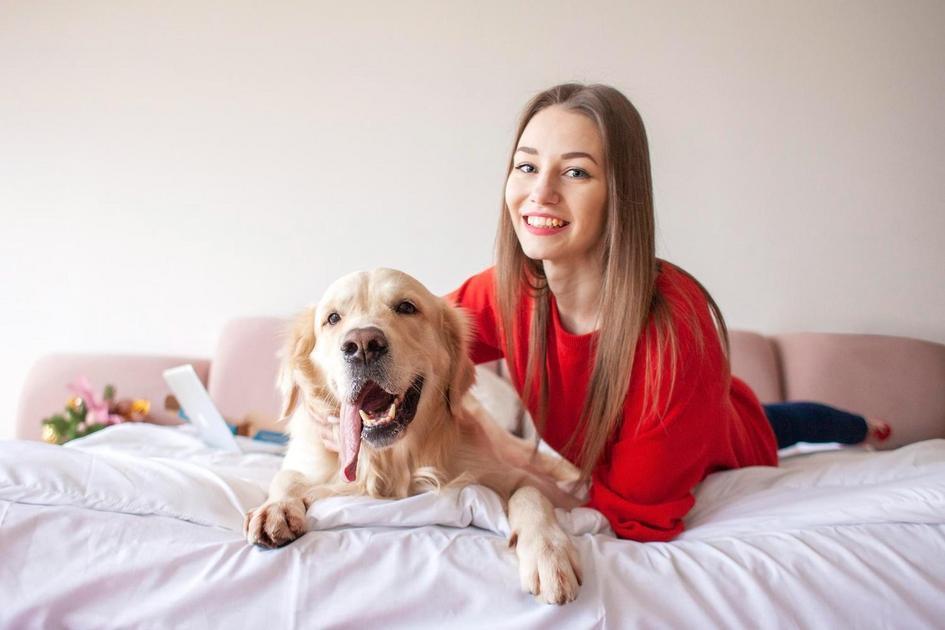Cuidados Essenciais para Manter seu Pequeno Amigo Canino Saudável Cuidados Essenciais para Manter seu Pequeno Amigo Canino Saudável