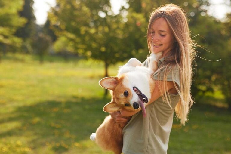 Dicas para cuidar do seu animal de estimação durante as férias
