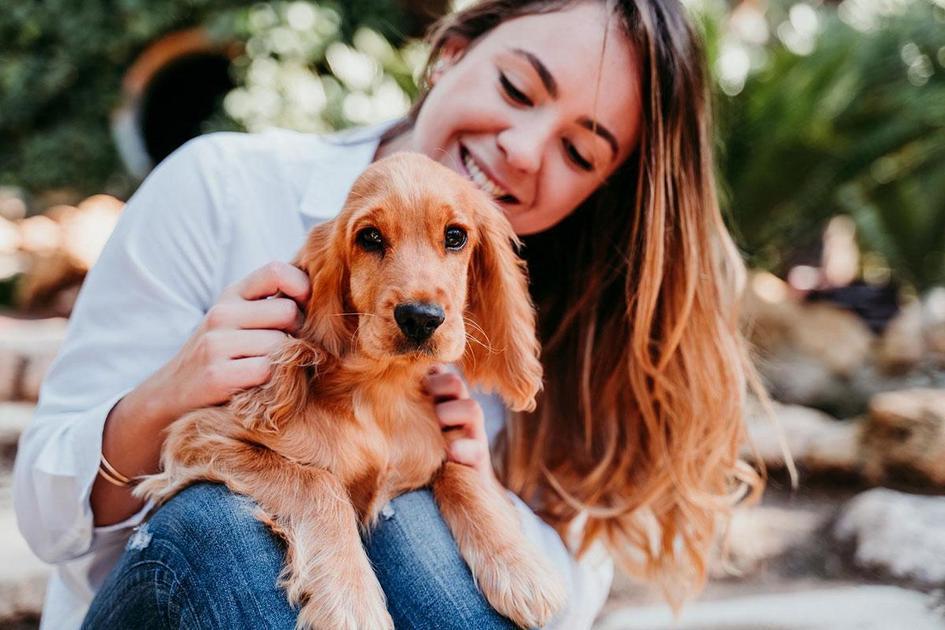 Dicas para desencorajar seu cão de comer fezes