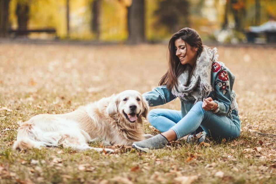 Diferentes Métodos para Prevenir e Tratar a Coprofagia Canina Diferentes Métodos para Prevenir e Tratar a Coprofagia Canina