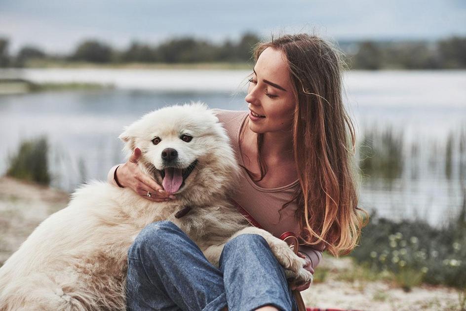 Ensine seu cão a latir menos com treinamento positivo