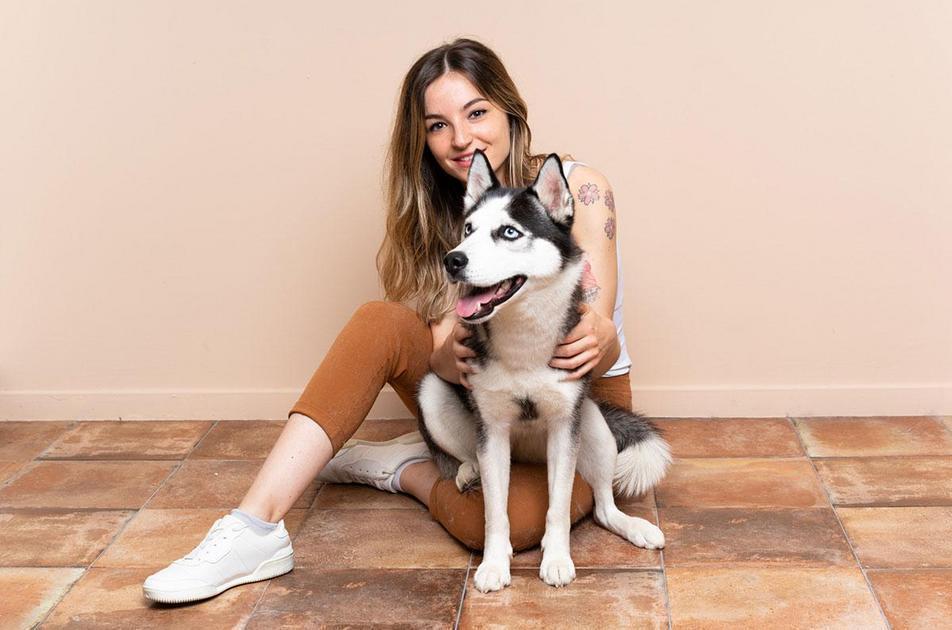 Entendendo as Razões para Castrar o Cachorro
