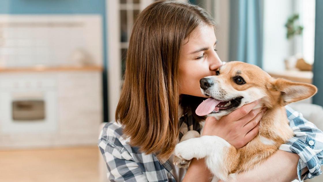 Entendendo o Comportamento de Choro em Cachorros Filhotes Entendendo o Comportamento de Choro em Cachorros Filhotes