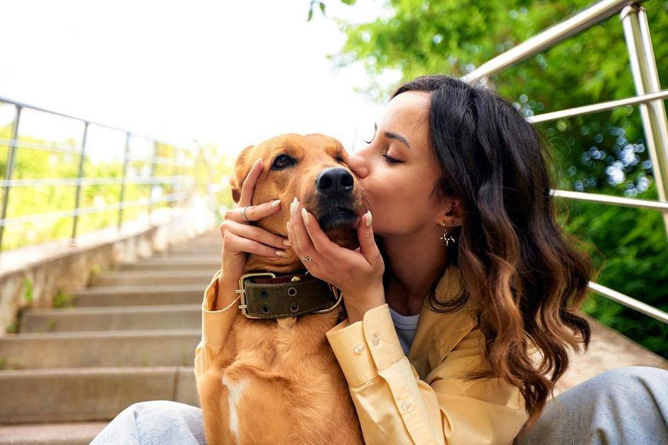 Evitando Problemas de Saúde com a Alimentação Caseira para Cachorros