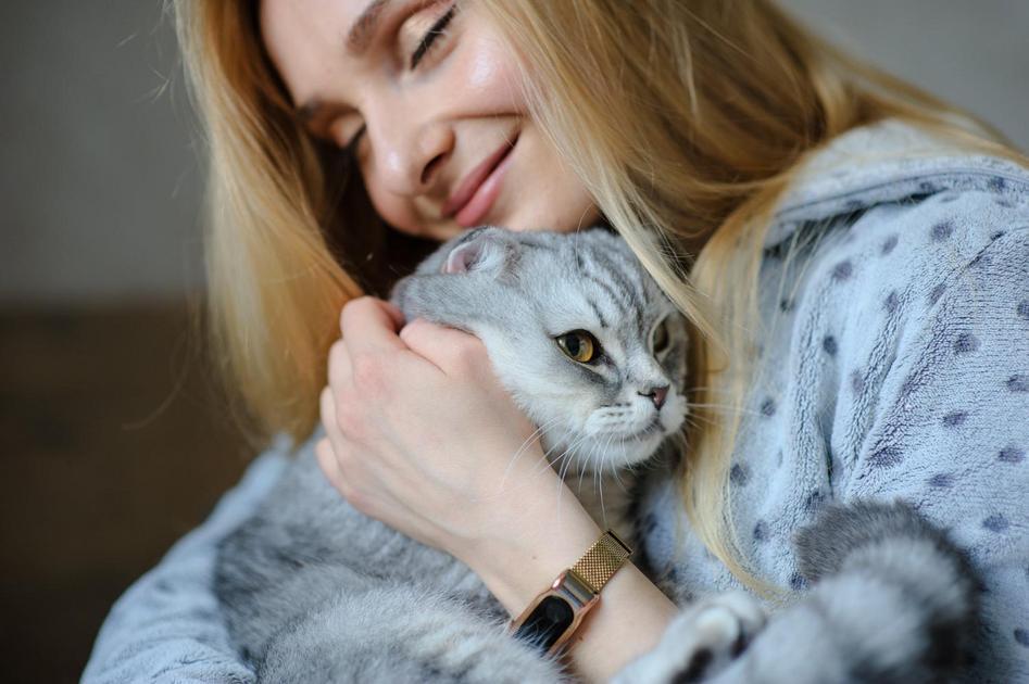 gatinho bebe
