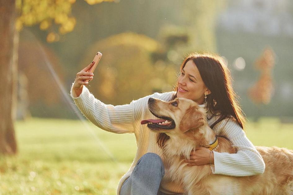 Identificando as Causas Comuns de Queda de Pelo em Cachorros