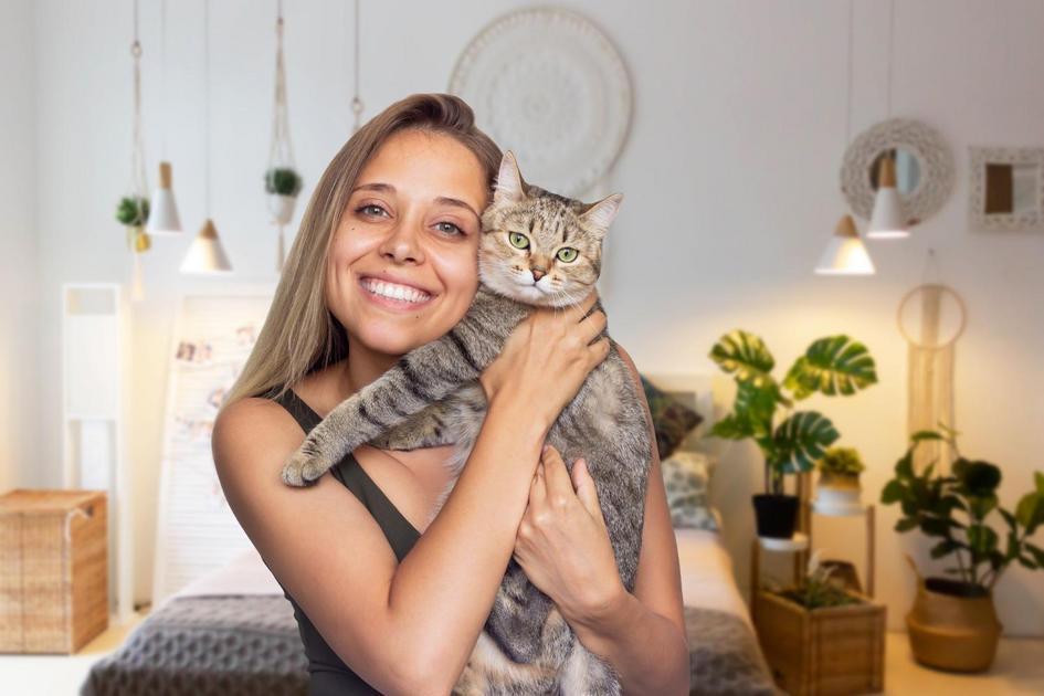 Métodos Simples para Determinar a Idade do Seu Felino
