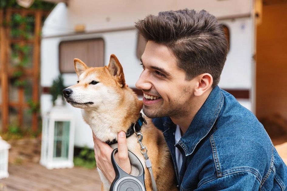 Nutrição Apropriada para Manter a Pelagem Canina Saudável
