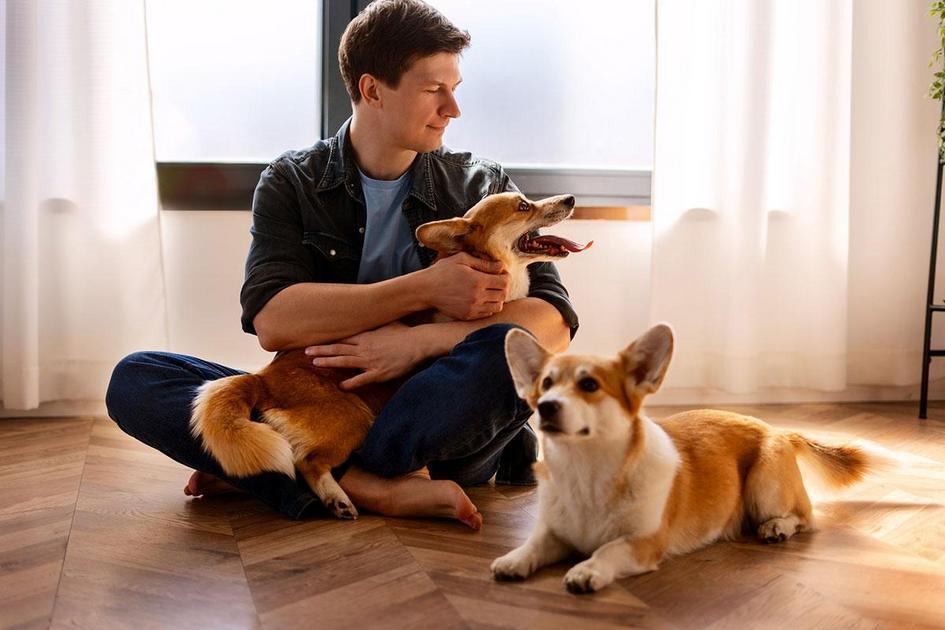 O Papel da Alimentação e Saúde Digestiva na Coprofagia dos Cães O Papel da Alimentação e Saúde Digestiva na Coprofagia dos Cães