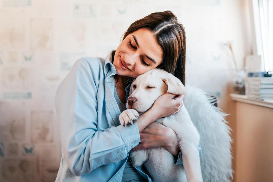 O papel dos microchips e coleiras de identificação na recuperação de cães perdidos