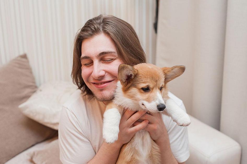 O que fazer imediatamente após perceber que seu cachorro está perdido