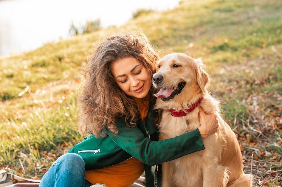 Os Benefícios Significativos do Adestramento para o Vínculo com seu Cão Os Benefícios Significativos do Adestramento para o Vínculo com seu Cão
