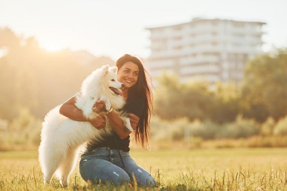 Os Melhores Cachorros para Viver em Espaços Pequenos