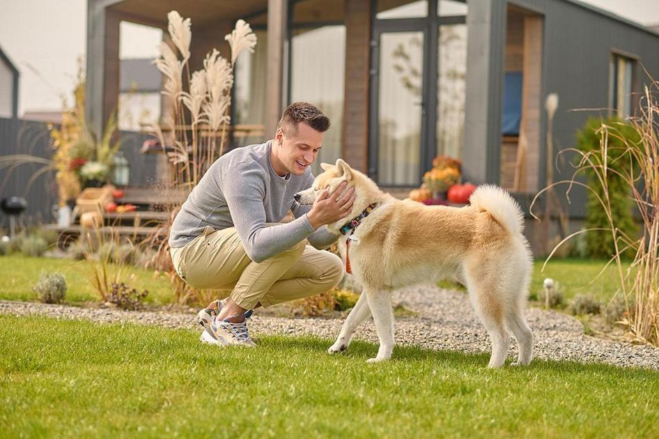 Os Nomes Mais Populares para Cães Machos Pequenos Os Nomes Mais Populares para Cães Machos Pequenos