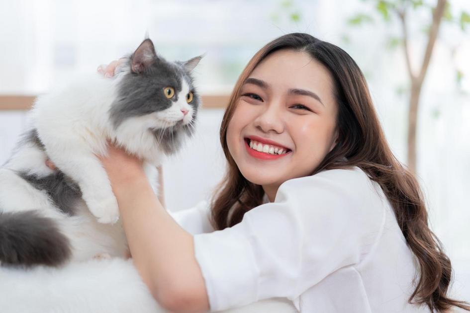 Por Que os Gatos Ronronam e Outras Comunicações Curiosas