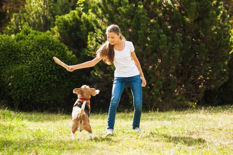 pulga de cachorro pega em humano