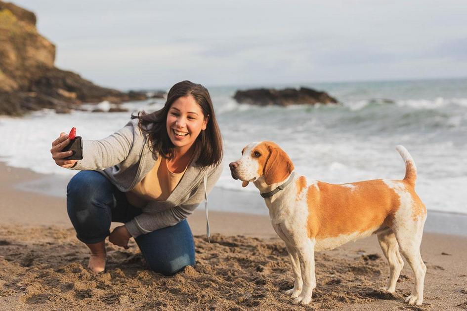 Quando a Queda de Pelos em Cães Indica um Problema de Saúde