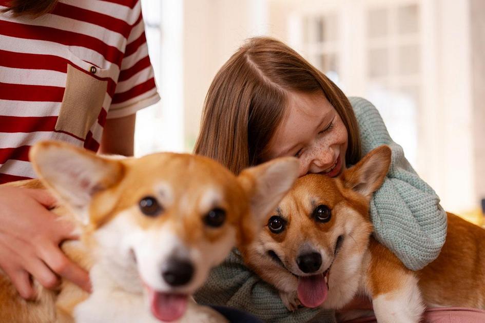 Quando o Choro do Cachorro Filhote é Sinal de Alerta de Saúde Quando o Choro do Cachorro Filhote é Sinal de Alerta de Saúde