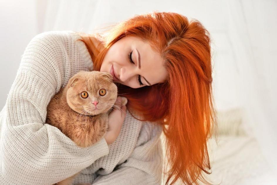 Recompensas e Castigos: Encontrando o Equilíbrio no Adestramento Felino