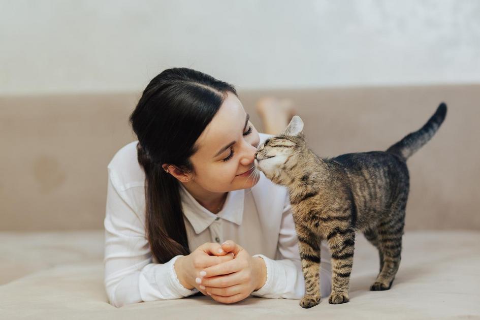 Sinais de que Sua Gata está no Cio