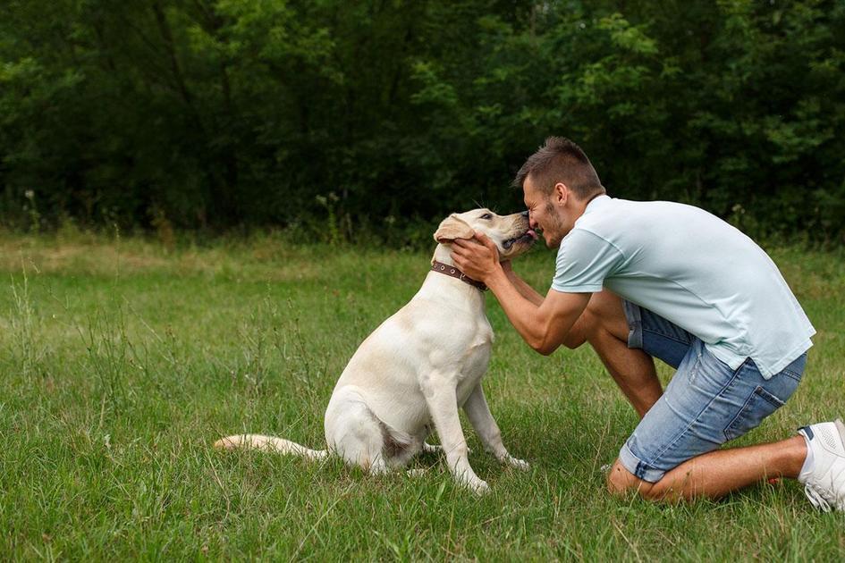 Tendências atuais em nomes de cachorrinhos para seu novo amigo Tendências atuais em nomes de cachorrinhos para seu novo amigo
