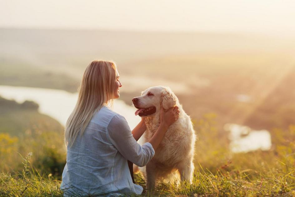 Tendências atuais em nomes para cachorros machos Tendências atuais em nomes para cachorros machos