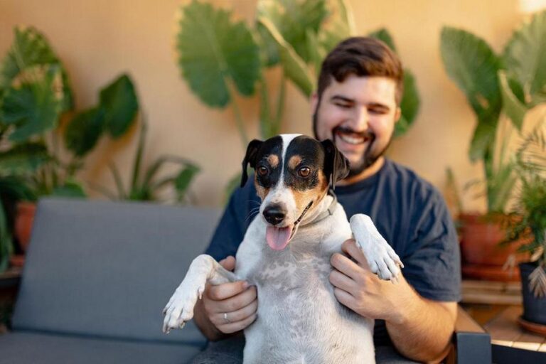 tosar o cachorro