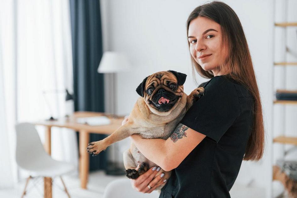 Dicas para banhar seu cachorro em casa Dicas para banhar seu cachorro em casa