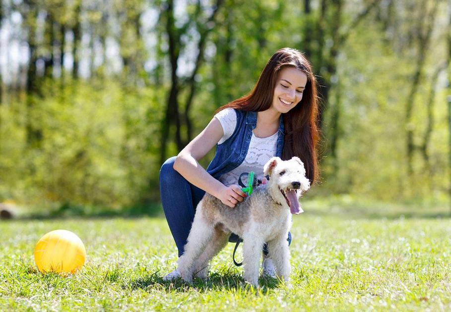 Quando Procurar um Especialista em Comportamento Animal