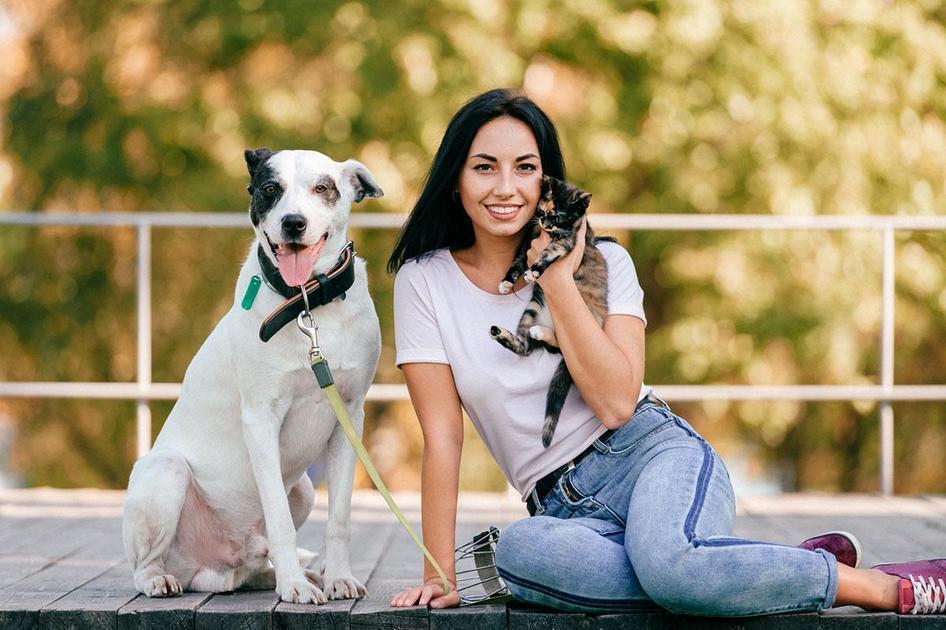 Razões Comuns para o Rosnar do Cão