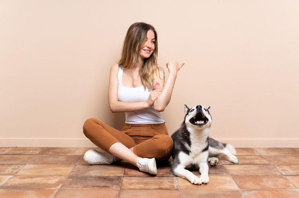 Sinais de Agressividade em Cães