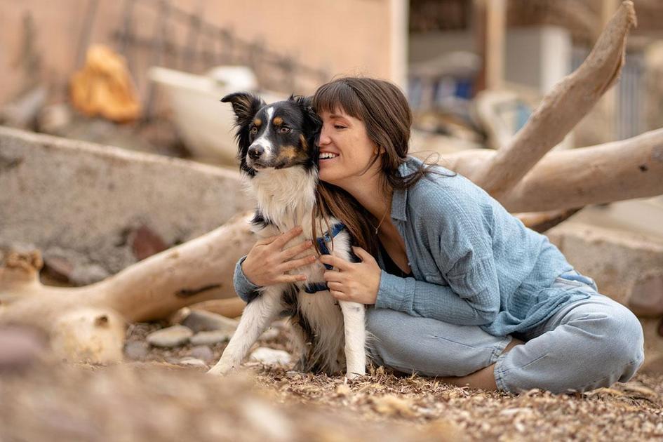 Cachorros fortes em competições: de provas de resistência a shows