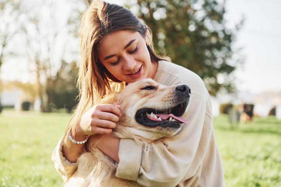 Quando Levar ao Veterinário? Quando Levar ao Veterinário?